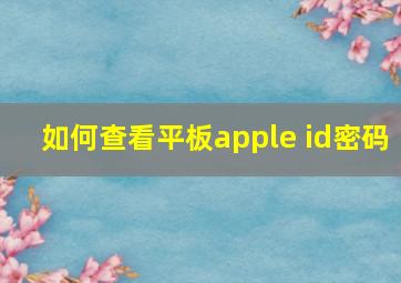 如何查看平板apple id密码